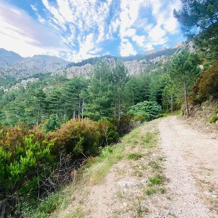 Gr20 Lägenhet Calenzana