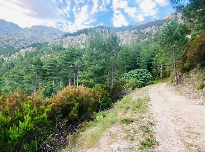 Gr20 Apartment Calenzana